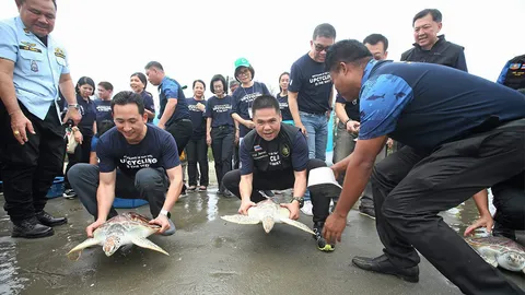 ปลูกป่าชายเลน-ร่วมปล่อยเต่า ปลุกจิตสำนึกคนรักษ์ธรรมชาติ