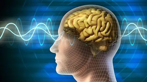 สุขภาพหรรษา : เหตุผลสนับสนุนให้ยกเลิก การใช้ไกลโฟเซต (ตอนที่ 1)