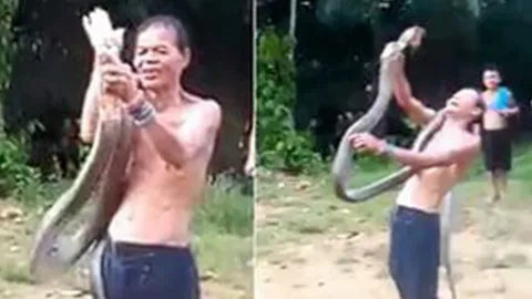 เปิดม่าน joke opera : หมองูตายเพราะงู (อีกราย)