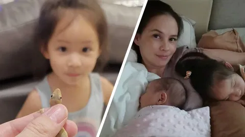 แอน อลิชา มือจับจิ้งจกประจำบ้าน ทำลูกสาวอึ้ง ภูริ ยังต้องหลีกทางให้ 