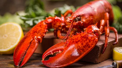 อูมามิเปลือกล็อบสเตอร์ แคลเซียมสูง โซเดียมต่ำ