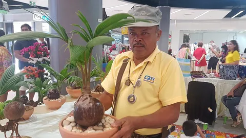 มองทั่วทิศเมืองไทย : บอนไซมะพร้าว