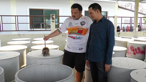 มองทั่วทิศเมืองไทย : อดีตบุรุษไปรษณีย์ทำฟาร์ม “หนูพุก”