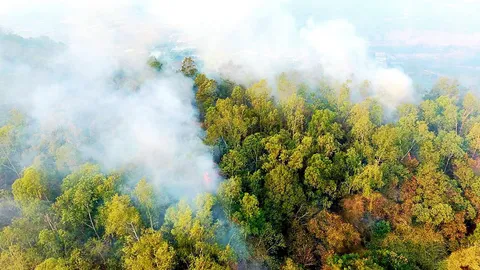 ไฟไหม้ป่าบนวนอุทยานเขาอีโต้ปราจีนฯ นับพันไร่ เร่งส่งรถน้ำฉีดสกัดเพลิง
