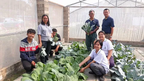 ปลูกพืชผักในโรงเรือน ไร้แรงงานเพื่อวัยเกษียณ