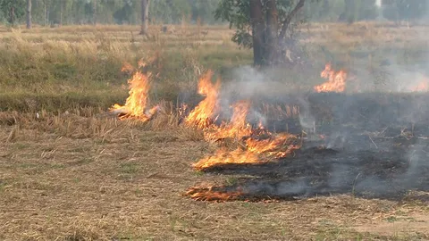 ห้องร้องทุกข์ : ลักลอบเผาตอซังข้าว ควันไฟ-ขี้เถ้าฟุ้ง หวั่นเกิดอุบัติเหตุ 