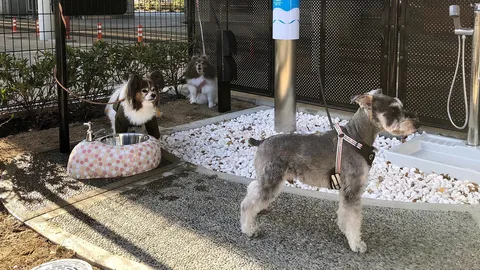 เปิดม่าน joke opera : ห้องน้ำผู้โดยสารตูบ 4 ขา