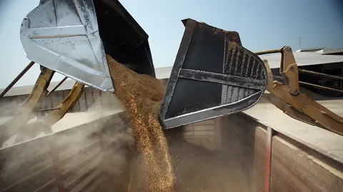 เหะหะพาที : เสียแชมป์โลกส่งออกข้าว เราควรเสียใจหรือดีใจ?