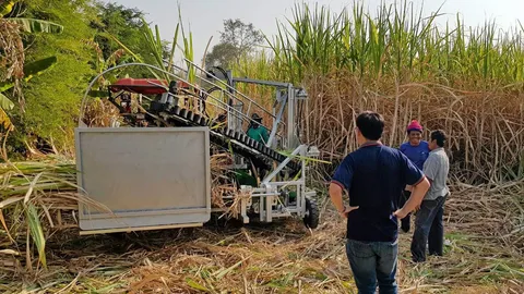 เครื่องตัดสางใบอ้อย 4 in 1 ทำงานครบจบ ไม่ต้องเผา