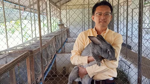 เปิดตัว "กระต่ายดำภูพาน" หวังเป็นสัตว์เศรษฐกิจตัวใหม่ เลี้ยงง่าย ราคาดี (คลิป)