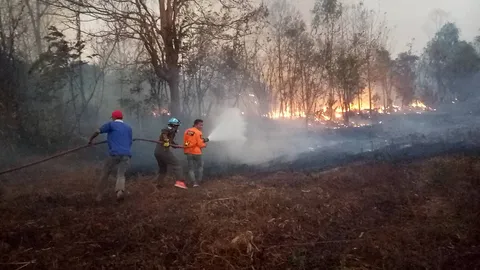 ไฟป่าลุกลามเผาป่าสัก ป่าอ้อย ป่าไผ่ ที่ภูกระดึงกว่า 300 ไร่