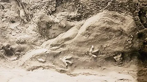 ไขปริศนารอยเท้าไดโนเสาร์บนเพดานถ้ำ ในออสเตรเลีย