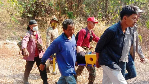 เจ้าหน้าที่ดับไฟป่า วิ่งหนีตาย พลาดล้มโดนช้างป่าเหยียบเท้าบาดเจ็บ