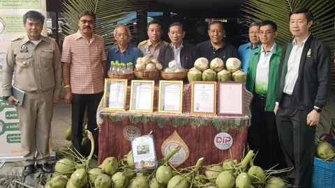 มองทั่วทิศเมืองไทย : อัตลักษณ์มะพร้าวน้ำหอมบ้านแพ้ว