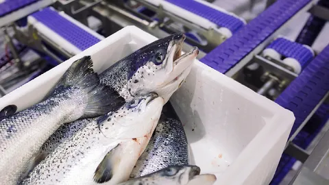 สภาอุตฯ นอร์เวย์ ยัน ซูชิ และซาชิมิจากแซลมอนนอร์เวย์ ปลอดเชื้อโควิด-19  