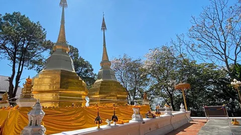 ซูมซอกแซก : ขึ้นดอยตุงกราบพระธาตุ+แวะชม “สวนแม่ฟ้าหลวง”