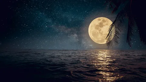 หน้าต่างโลก : ดวงจันทร์และดาวเคราะห์