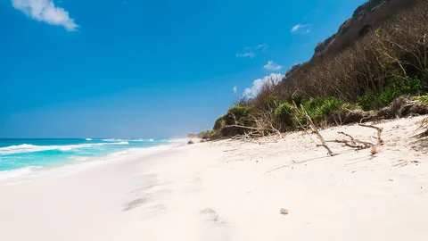 โลกร้อนทำชายหาดทั่วโลกหดหายกว่าครึ่ง