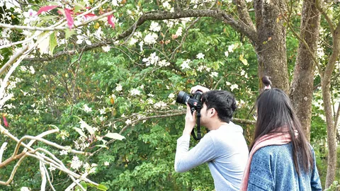 มองทั่วทิศเมืองไทย : มนต์เสน่ห์แห่งภูชี้ฟ้า