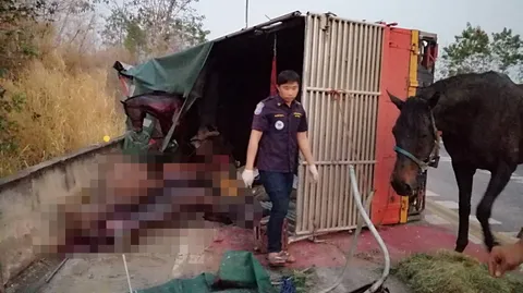 หกล้อบรรทุกม้าแข่ง คว่ำตรงโค้งร้อยศพวังสะพุง คนดับ 3 ม้าตาย 2 สาหัสรวม 4