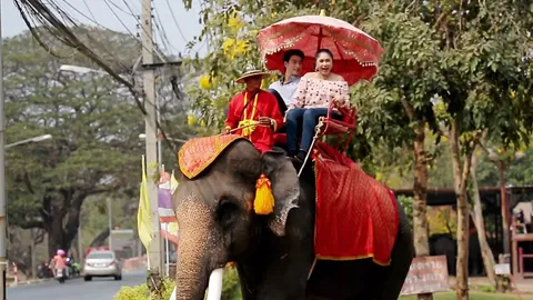 "เอ้ ชุติมา" สวีต "ฟร้อง" แฟนเด็ก ควงขี่ช้าง ยันยังหวานอยู่