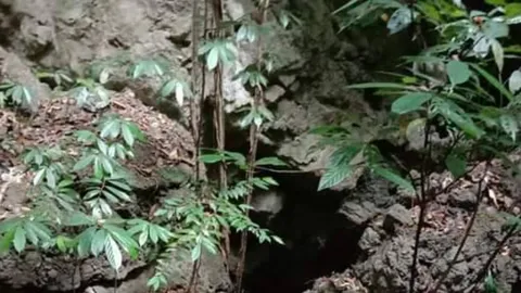 สาวพิษณุโลกมาปฏิบัติธรรมที่กระบี่ เห็นนิมิตเดินขึ้นเขา แล้วตกหน้าผาตาย