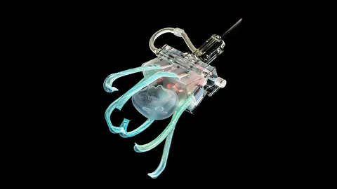 หุ่นยนต์นิ่มใช้จับแมงกะพรุนใต้ทะเลลึก