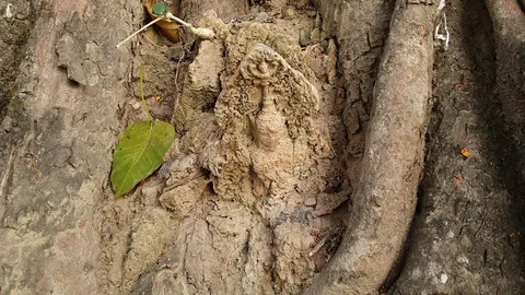 ชาวบ้านขอพร เศียรพระพุทธรูปโผล่กลางต้นโพธิ์โบราณ ยืนต้นนานกว่า 500 ปี