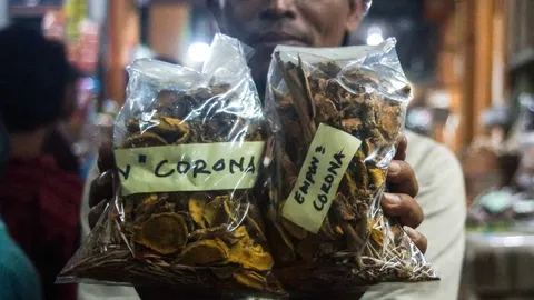 อินโดฯ หันไปใช้การรักษาแบบสมุนไพร หวังต้านโควิด-19