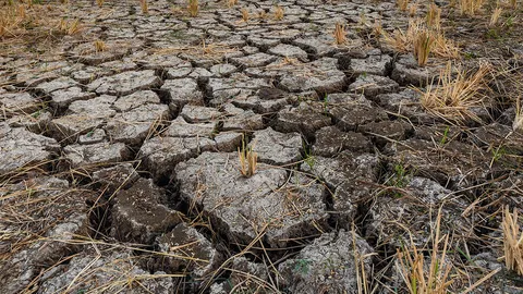 ห้องร้องทุกข์ : ชาวบ้านสกลนครเดือดร้อน ปัญหาดินเค็มเพาะปลูกไม่ได้