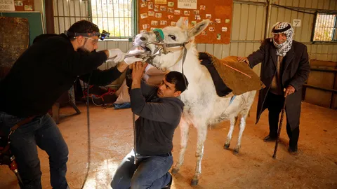 เปิดม่าน joke opera : ที่หลบภัยของ "ลา" (ไม่โง่)