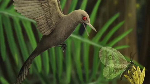 ไดโนเสาร์เล็กที่สุดเผยวิวัฒนาการของนก