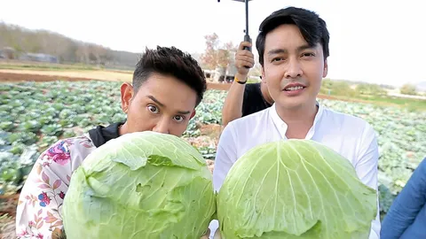 "เขตต์" ชวนปลูกกะหล่ำปลี