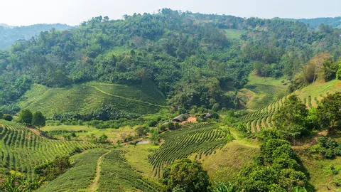 ซูมซอกแซก : อรุณแรกที่ “แม่สลอง” กว่า “40 ปี” ไม่มีวันลืม