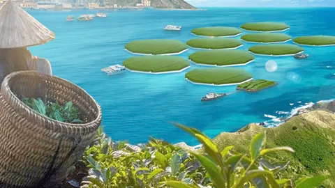 นิวซีแลนด์ ทดลองปลูกข้าวในทะเลได้สำเร็จ