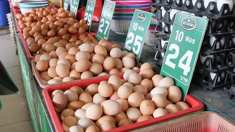 น้ำมันลดราคา แต่ขอนแก่นไข่ไก่วันนี้ราคาพุ่งขึ้นแผงละ 10 บาท