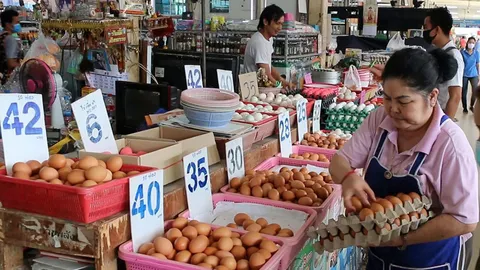 ไข่เริ่มแพง