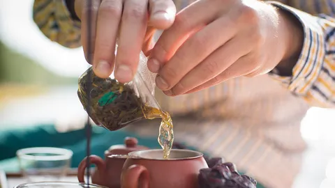 เปิดฟ้าภาษาโลก : With a good grace