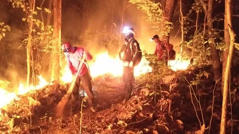 ผนึกกำลังดับไฟป่า ไม้กระทู้-เขาน้ำอุ่น ใน อ.แม่วงก์ คาดดับได้ในเร็วๆ นี้