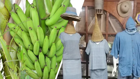 กระทรวงพาณิชย์ ประกาศ "ผ้าหม้อห้อมแพร่-กล้วยหอมทองปทุม" เป็นสินค้าจีไอ