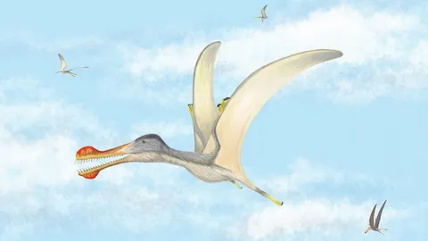 เบาะแสการบินของสัตว์เลื้อยคลานโบราณ