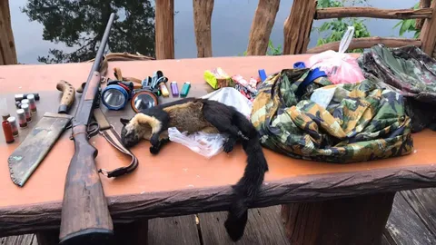 ดักจับพรานป่า ล่าพญากระรอกดำเขตอุทยานแห่งชาติแม่วงก์ พร้อมซาก