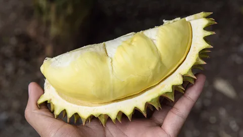 “ล้ง” พลิกเกมรับซื้อทุเรียน