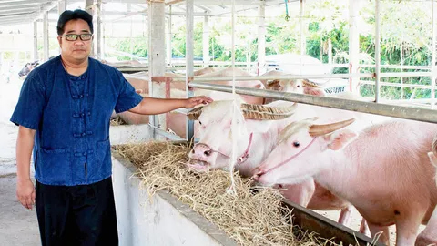 มองทั่วทิศเมืองไทย : ปอดใหม่กลางเมืองหัวหิน