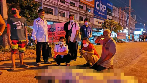 ชนดับอนาถ