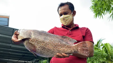 ชาวเกาะสุกรสู้วิกฤติโควิด-19 เอาซีฟู้ดสดๆ จากแพปลาขายออนไลน์ ส่งถึงบ้าน