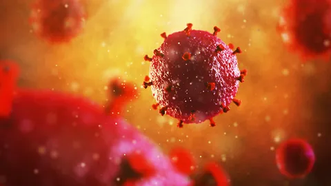 เปิดคำทำนาย 2 โหรดัง "โควิด-19" เกิดเหตุการณ์ใหญ่ช่วงกันยายน ผลออกมาดี