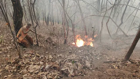 ไม่ไหวแล้วคุณโยม ไฟเผาป่ารอบวัดเจดีย์ลอยฟ้า พระ เณร เอาไม่อยู่แล้ว