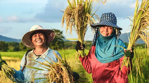 เกษตรกรลุ้นต่อ รอรับ 3 หมื่น นอนแบงก์ประกาศไม่ยึดรถ-ยึดมอเตอร์ไซค์