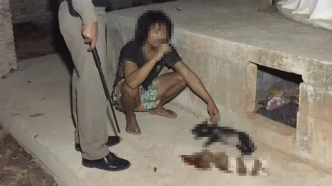 สะเทือนใจ รวบหนุ่มสติไม่ดี ทุบลูกหมาเดือนเศษตาย 3 ตัว คาวัดที่กระบี่